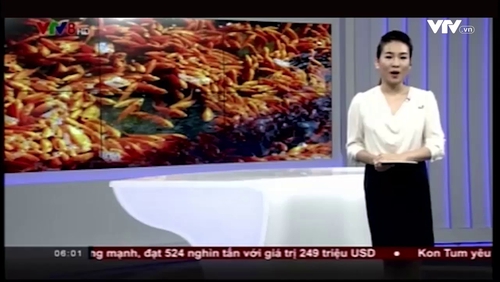 Chào ngày mới - 08/02/2018