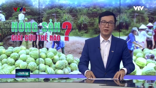 Theo dòng thời sự - 16/4/2017