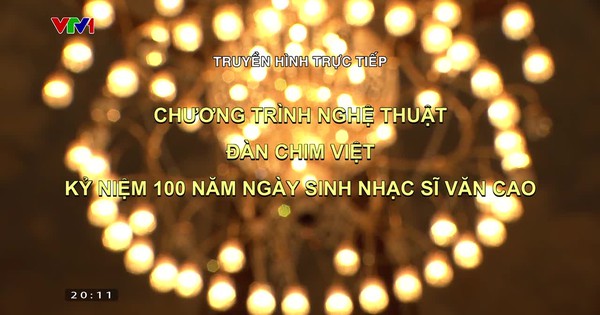 vtv.vn