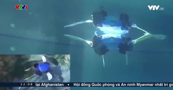 Robot lưỡng cư lấy cảm hứng từ rùa