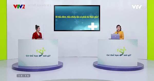 Cơ thể bạn nói gì ?: Đi tiểu đêm, tiểu nhiều lần có phải do thận yếu? - Video đã phát trên VTV2 | VTV.VN