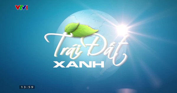 Trái đất xanh - 29/3/2023 - Video đã phát trên VTV1 | VTV.VN