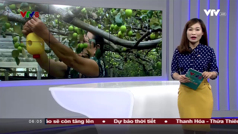 Chào ngày mới - 23/02/2018